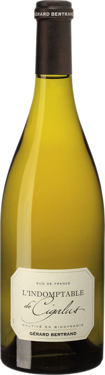 GB L'INDOMPTABLE DE CIGALUS WHITE ØKO