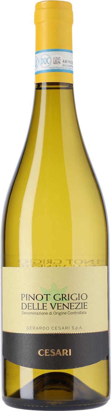 Cesari Pinot Grigio
